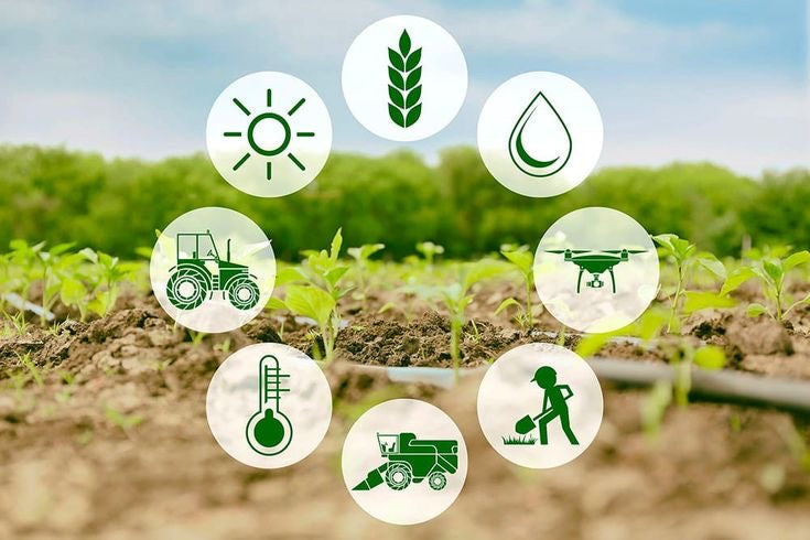 Consulenze Agronomiche Online