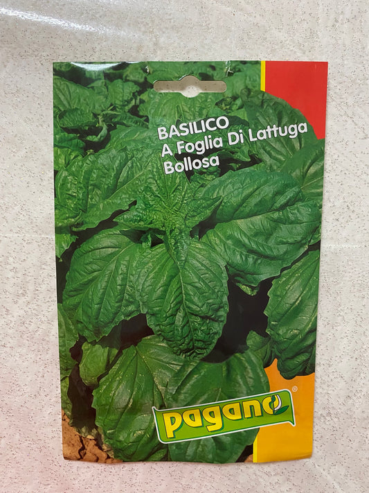 Blistering Lettuce Leaf Basil Seeds