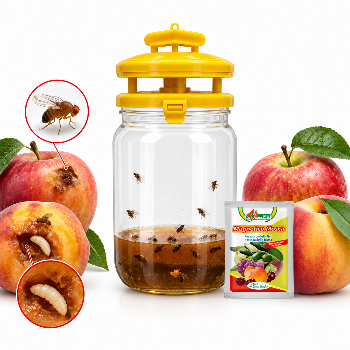 Trappola a Cattura massale con attrattivo alimentare per mosca dell'olivo e della frutta - NaturePro