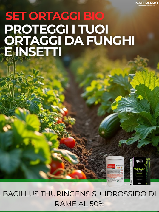 Set protezione ortaggi - Bacillus Thur.500gr. + Idrossido di rame 1kg