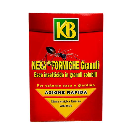Nexa insetticida per formiche da 800 gr KB