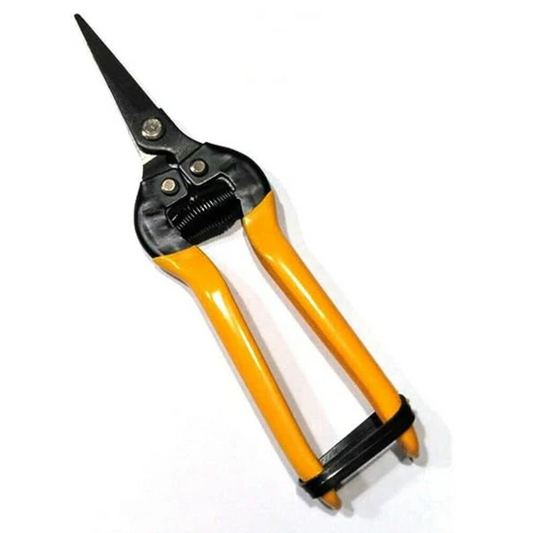 Fruit Picking Scissors 8" Inch 200Mm