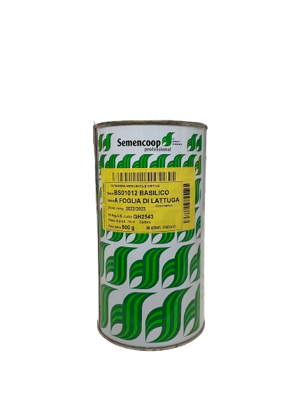 Lettuce Leaf Basil Seeds 500gr