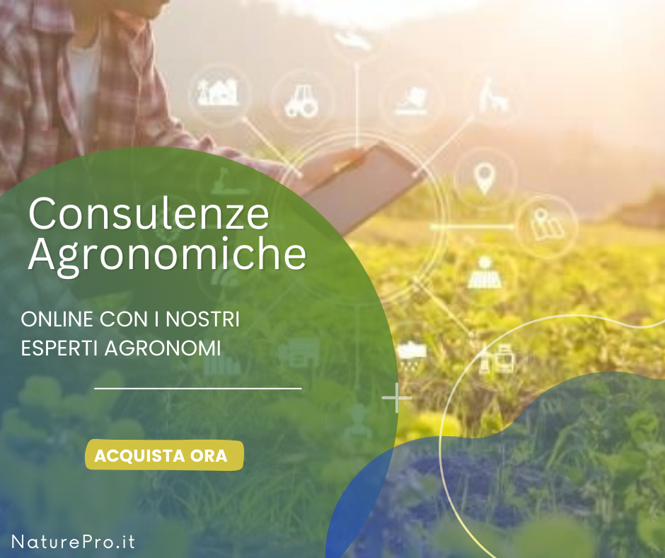 Consulenze Agronomiche Online