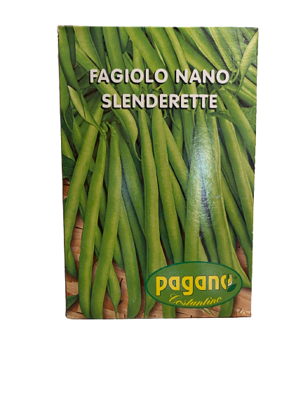 Semi di Fagiolo Nano Slenderette - NaturePro