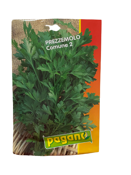 Common Parsley Seeds 2