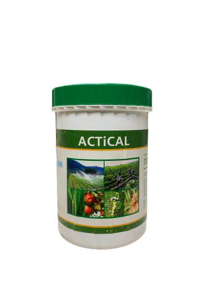 Actical corrective limescale 1 kg