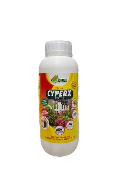 Insecticide for civil use against flying and crawling insects 1 lt