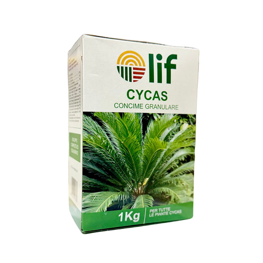 Concime granulare Cycas LIF 1 kg – concime specifico per cycas e palme