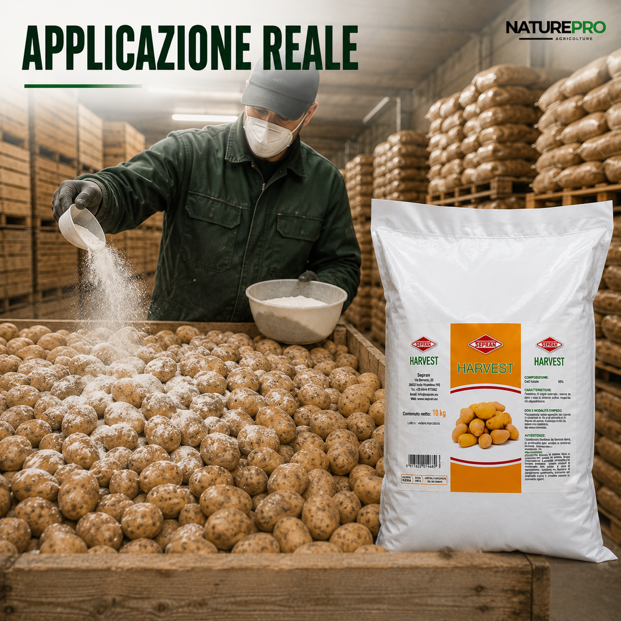 SEPRAN Harvest 10 Kg Ritardante Naturale del Germogliamento delle Patate, Polvere per Conservazione - NaturePro