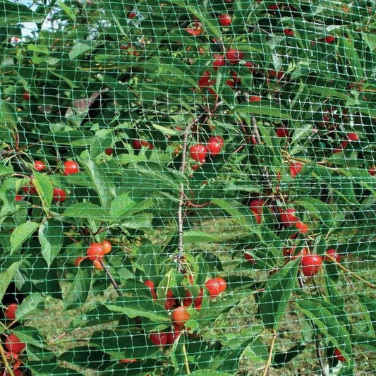 LIF rete antiuccelli 2×5 m maglia 1×1 cm – rete protettiva - NaturePro