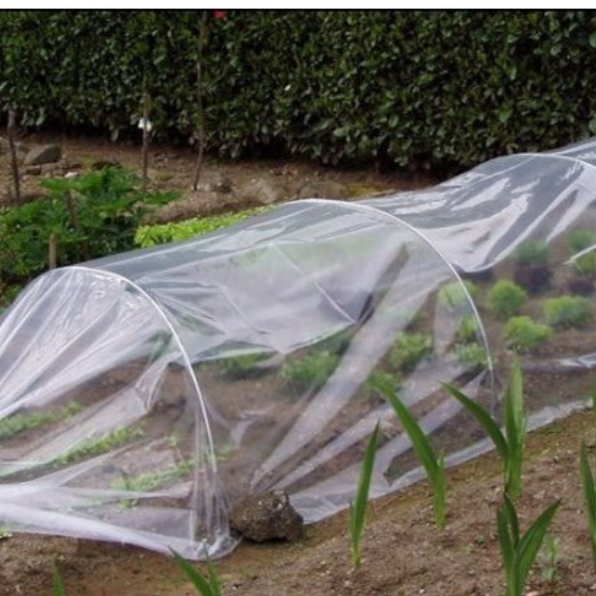Verdemax serra per orto 3×1,2 m -kit tunnel in PVC - NaturePro